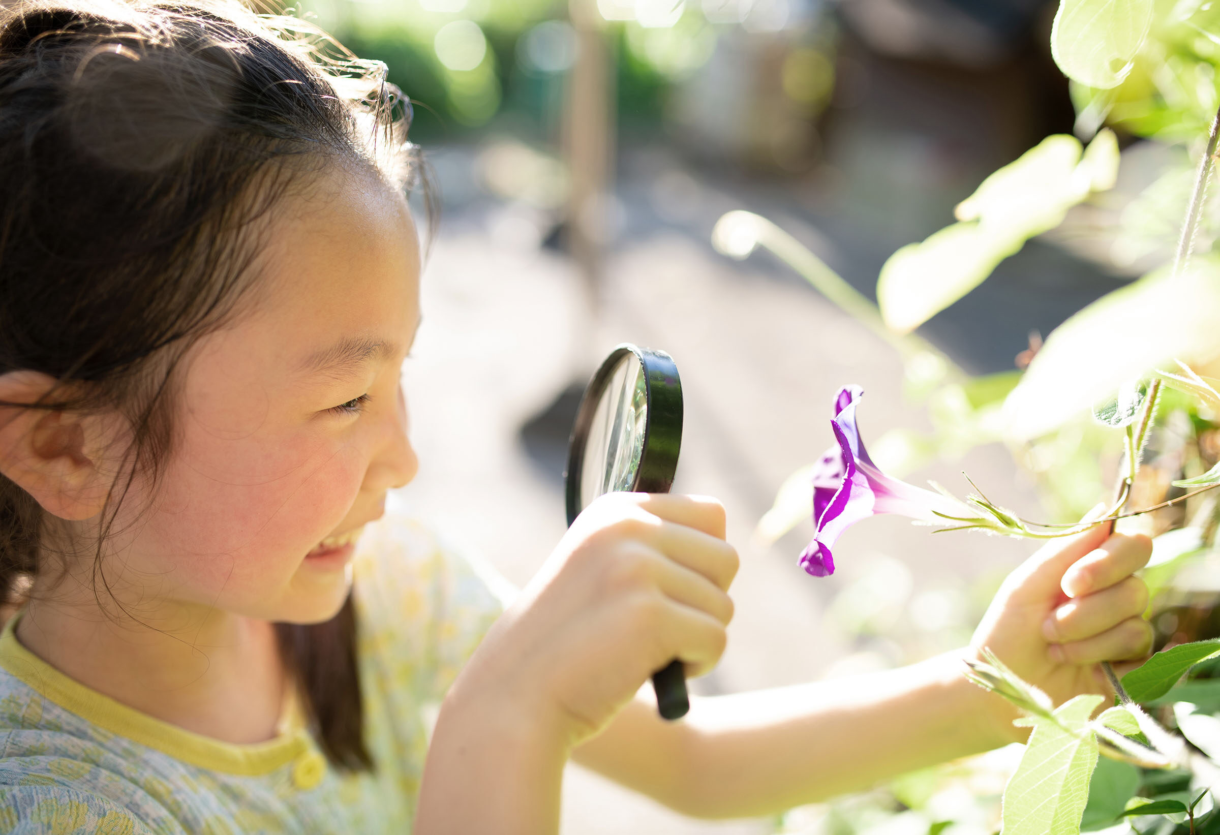 AdobeStock_449182576 TOP1+